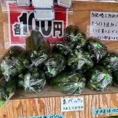 朝取立て　野菜の画像