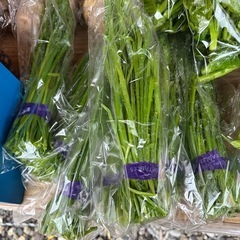 朝取立て　野菜の画像