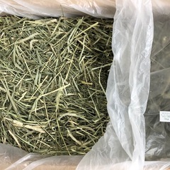 大型ケージ　うさぎで使用してました　　室内使用の画像