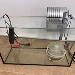 値下げ！水槽　熱帯魚・メダカ・金魚　飼育セットの画像