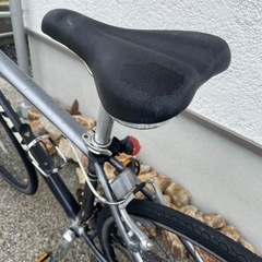 売れました
の画像