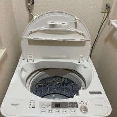 SHARP 洗濯機の画像
