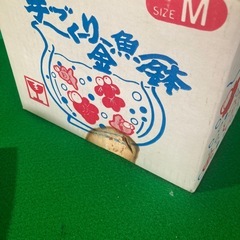 金魚鉢の画像