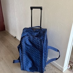 【Coleman】キャリーバッグの画像
