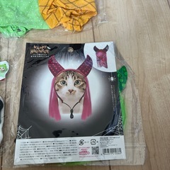猫用　かぶりもの　セット
の画像
