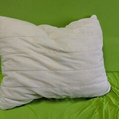 Pillow with pillowcaseの画像
