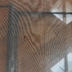 爬虫類飼育フルセット　ケージの画像