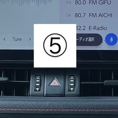 RAV4 内装　カバー14点セットの画像