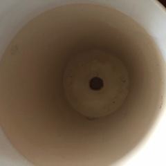 美品　陶器　プランター胡蝶蘭　鉢　の画像