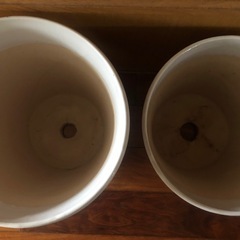 美品　陶器　プランター胡蝶蘭　鉢　の画像