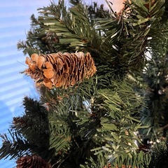 180cmクリスマスツリーの画像