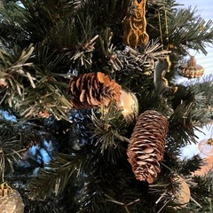 180cmクリスマスツリーの画像