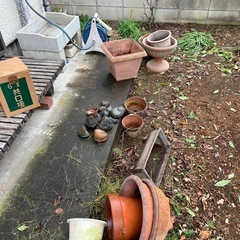 鉢の画像