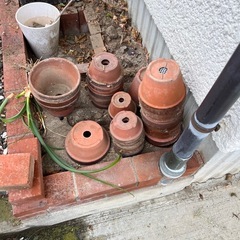 鉢の画像