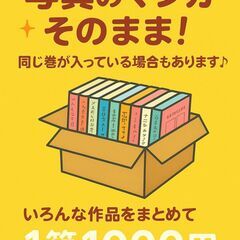 A8164　中古マンガまとめセット★重複あり★いろいろ作品★きれいめ★1箱1000円の画像