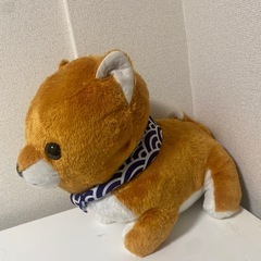 豆柴ぬいぐるみ　まめしば　の画像