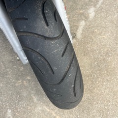 カーロⅡ100の画像