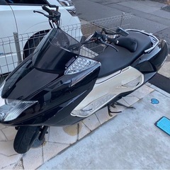 マグザムSG21の画像