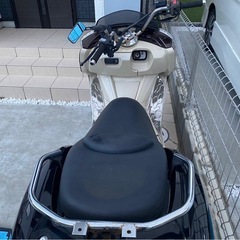 マグザムSG21の画像