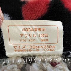10/30までに！　ビッグサイズ（180×230cm）の毛布　の画像
