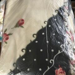 10/30までに！　ビッグサイズ（180×230cm）の毛布　の画像