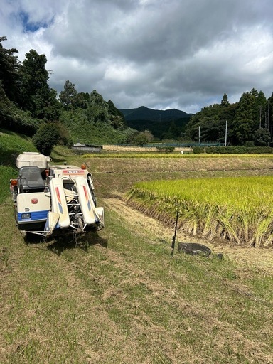 新米(玄米30kg) 18,000円  由布市庄内町産