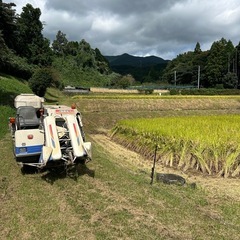 新米(玄米) 18,000円  由布市庄内町産の画像