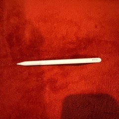 iPadPro第6世代12.9インチ256GB＋ApplePencil第2世代の画像