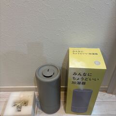 ①Beauwell（ビューウェル） みんなにちょうどいい加湿器 ライトグレーの画像