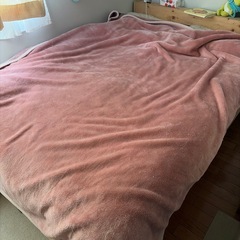 毛布　二重仕立て　ダブルサイズの画像