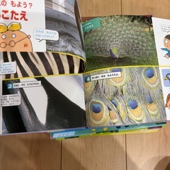 なぜなぜクイズえほ絵本の画像