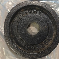  27日まで VIGOR 9kg ダンベルの画像