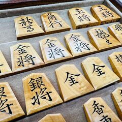 児玉龍兒作 虎斑盛上将棋駒の画像