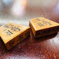 児玉龍兒作 虎斑盛上将棋駒の画像