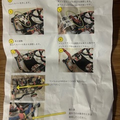 大型犬車椅子の画像