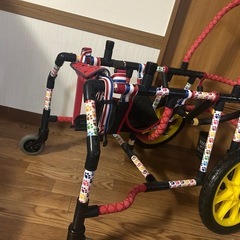 大型犬車椅子の画像