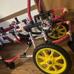 大型犬車椅子の画像