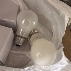 でんきゅう電球の画像