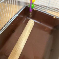 鳥かご　鳥カゴ　売ります　とりかご　鳥籠　とり籠　　インコ　大阪の画像