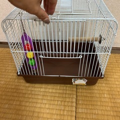 鳥かご　鳥カゴ　売ります　とりかご　鳥籠　とり籠　　インコ　大阪の画像