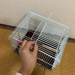 鳥かご　鳥カゴ　売ります　とりかご　鳥籠　とり籠　　インコ　大阪の画像
