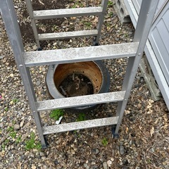 はしご　脚立　梯子　141cm 298cm SA-150の画像