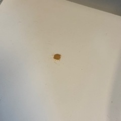 掲載11/21 ニトリ食器棚 値段交渉対応の画像