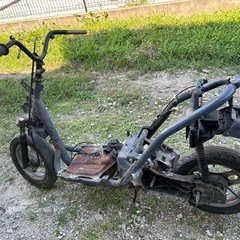 ライブディオ　AF34書付きフレームの画像