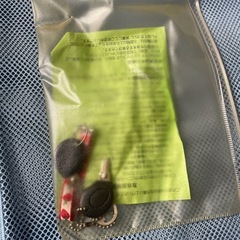 キャリーバッグ大型ブランド（バレンチノ）の画像