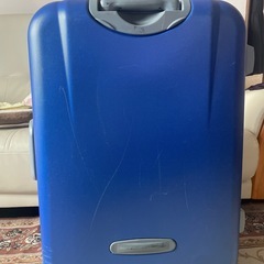 キャリーバッグ大型ブランド（バレンチノ）の画像