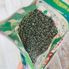 サボテン　栄養　園芸用土の画像