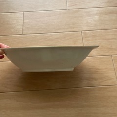 花柄カレー皿2枚と豆皿4枚の画像