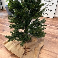 クリスマスツリーの画像