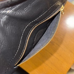 SIN SIN ズボラサコッシュの画像